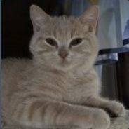 Gregc1131's Warehouse