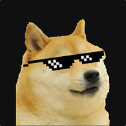 Cool Doge steam profile on Profilerr