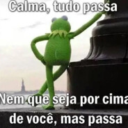 PERNA DE PAU DEMAIS