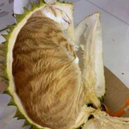 DuriCat