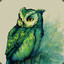 Magik Owl