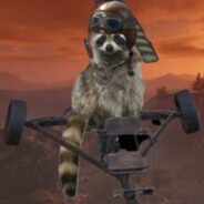 Mini Raccon