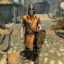 Whiterun Guard