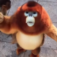skoryupson