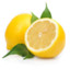 NotYourAverage Lemon