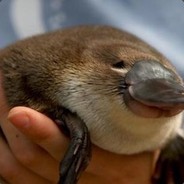 Platypus