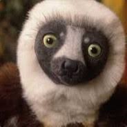 Mafoomaboo