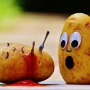 Yaourt a la Paume de taire's Avatar