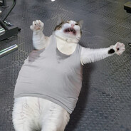 timaqwt