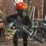 007
