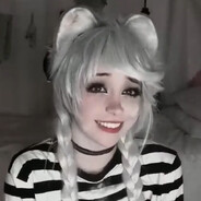 hokkie