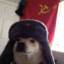 Russian dog