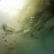 HOWDOUGETGOLD
