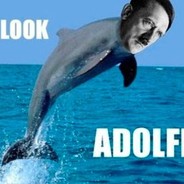 NikodemS