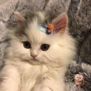 this world is full of lies