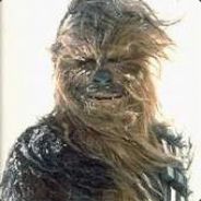4ubakka - steam id 76561197961167372