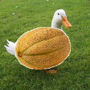 Pato melao