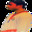 Group Avatar