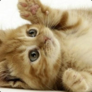 HungryCat