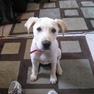 VertSk8erRay's Avatar