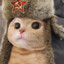 Slavic Cat