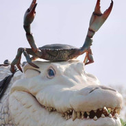 Angry crab riding a  avatar