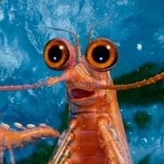 krill
