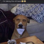 sex dick