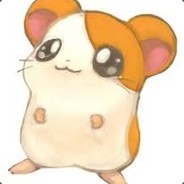 Mr.Hámster