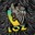 Group Avatar