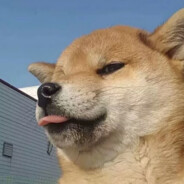 一口猪头肉