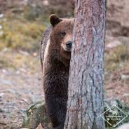 [OURS] stay frosty's Avatar