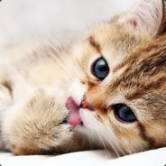 N1_Legenda