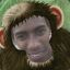 macaco lelé