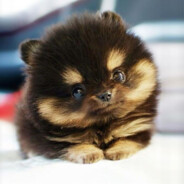 ubuhu9hhyububibu9i0ji0j0