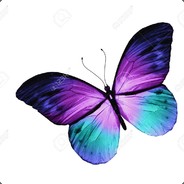 Butterfly Ƹ̵̡Ӝ̵̨̄Ʒ
