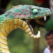 Potamic $nake
