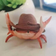 Caranguejo cauboi