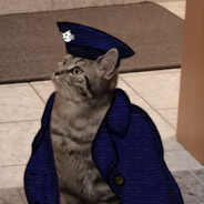 Catmiral Bert IIV