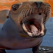 Aark! Aark!