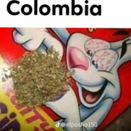 Palansito