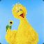 BigBird