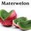 Materwelon