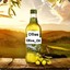Olive_Oil (Ollie)