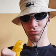 FeMix