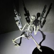 Vigilant Solivagant