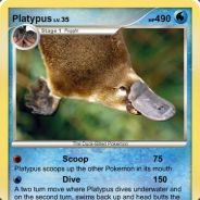 Platzypus avatar