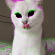 kotiki_narkotiki