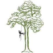 GhostKingNW's Avatar