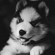 Nickure's Avatar